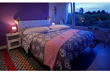 Horvātija Chata Krnica, Eksterjers